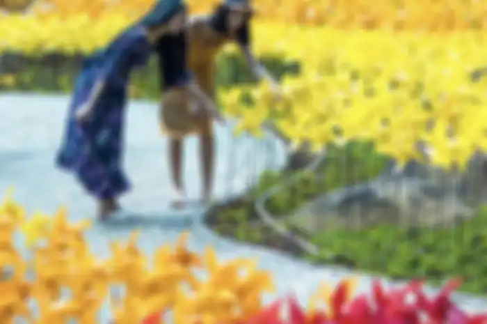 Berapa harga tiket masuk Cimory Dairyland Puncak? Tempat wisata di Bogor yang menyajikan banyak spot foto aesthetic.