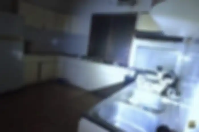 Rumah miliarder yang menjadi sarang nyamuk ini bikin nyedek pol. Foto kondisi desain dapur mewahnya sampai dibahas.