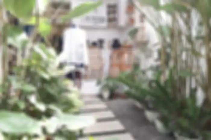 Desain dapur outdoor yang enggak makan banyak biaya cocok buat diaplikasikan di rumah mungil. Foto interiornya jadi referensi.