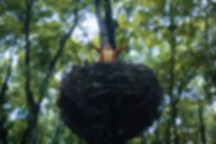Cara menuju ke Gondang Park tempat wisata hits di Lamongan Jawa Timur. Ada banyak spot foto aesthetic.