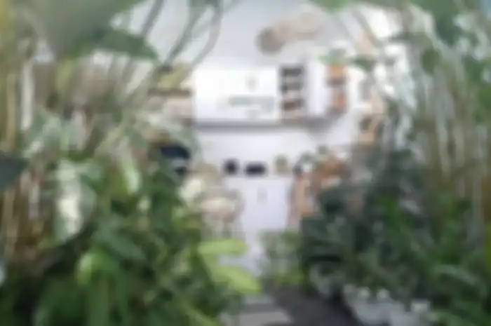Foto tampilan desain dapur outdoor jadi aesthetic berkat 5 perabotan wajib ini. Hasilnya bikin iri banyak pemilik rumah minimalis.