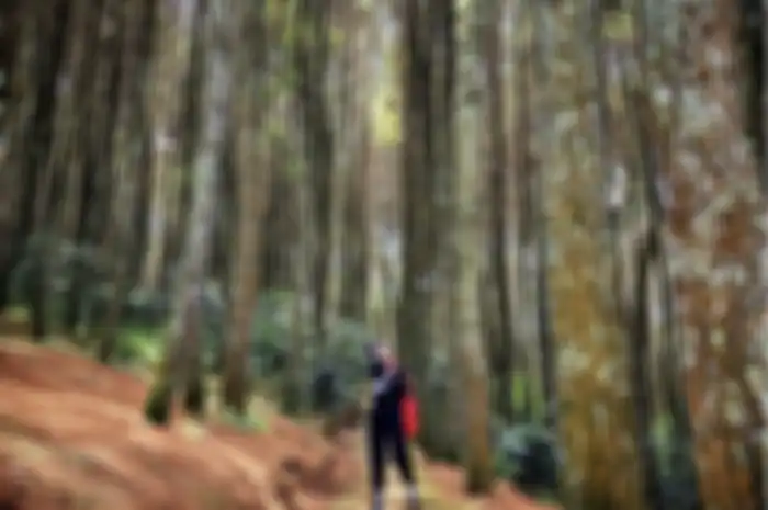 Apabila mencari spot foto aesthetic di Bandung Jawa Barat, yuk kita menjelajahi Bukit Moko tempat wisata yang lagi hits.