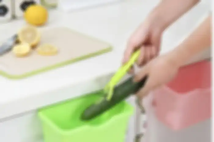 Home Owner, Simak Cara Mencegah dan Membasmi Belatung di Tempah Sampah Dapur, Bisa Siapkan Air Mendidih!
