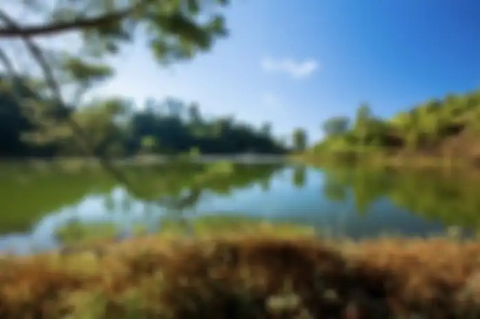 Tempat wisata di desa Ranu Pani Lumajang ini menjanjikan spot foto estetik. Patuhi aturan unik ini.