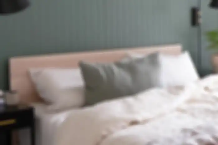 Sage minimalis room 