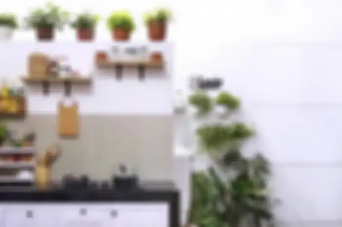 Begini cara menaruh tanaman hias agar potret dekorasi dapur kecil tampak semakin cantik.
