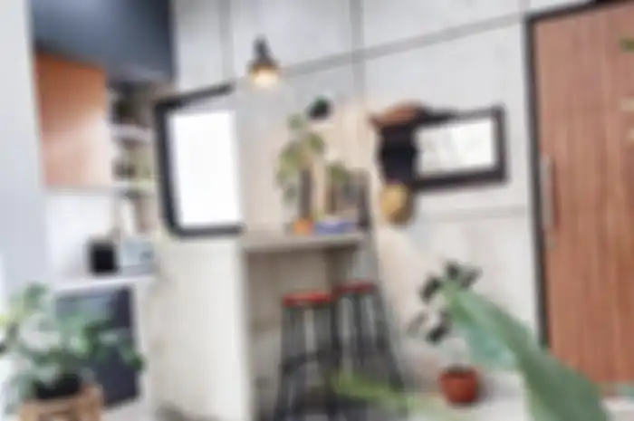 Dapur sempit terasa lebih segar berkat kehadiran tanaman yang ampuh menyedot racun di udara.