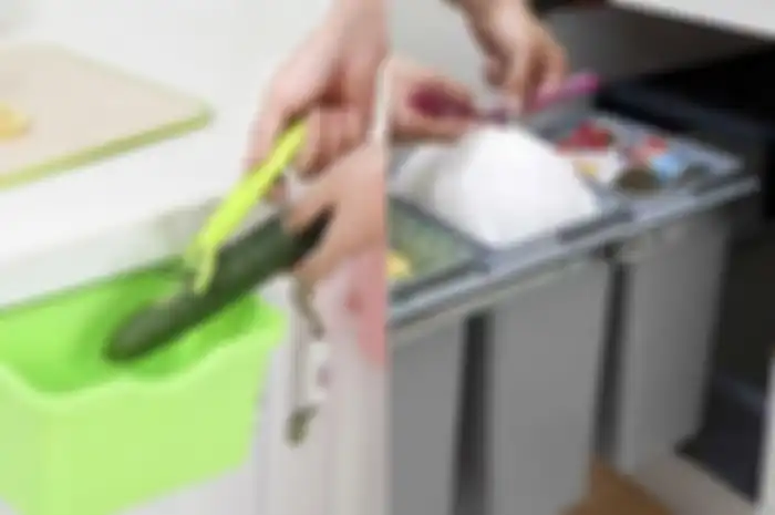 4 Cara Membasmi Belatung di Dapur Minimalis