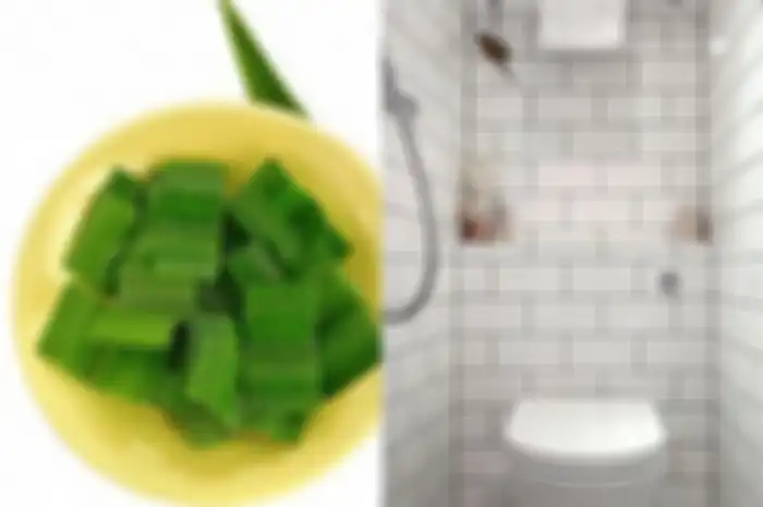 Cara Membuat Pengharum Kamar Mandi dengan Daun Pandan, Tetangga Sampai Kaget Lihat Perubahannya!