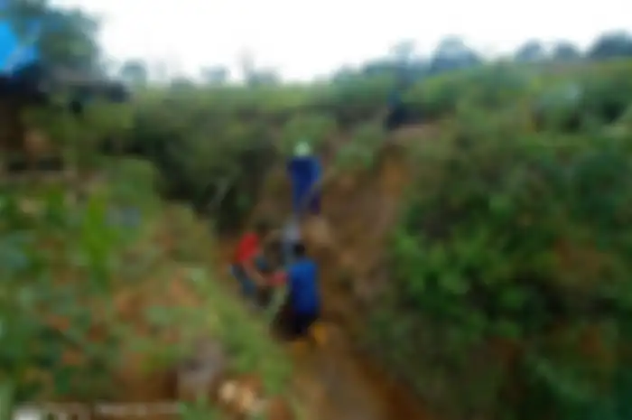 Pemotor nyungsep ke kebun singkong di Hambalang gara-gara Google Maps.