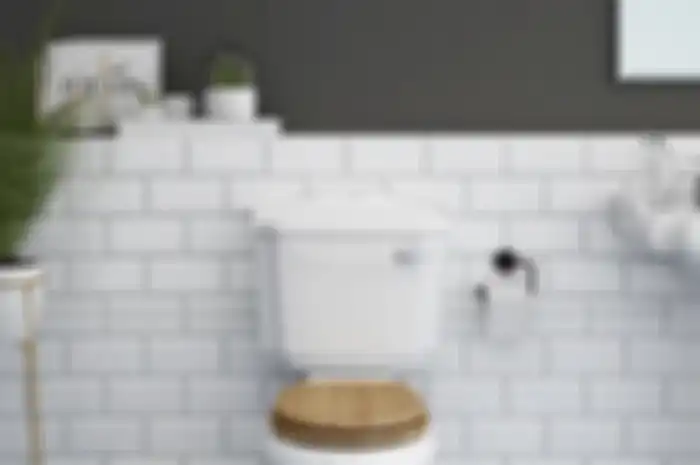 Cara Menghilangkan Bau Pesing di Kamar Mandi
