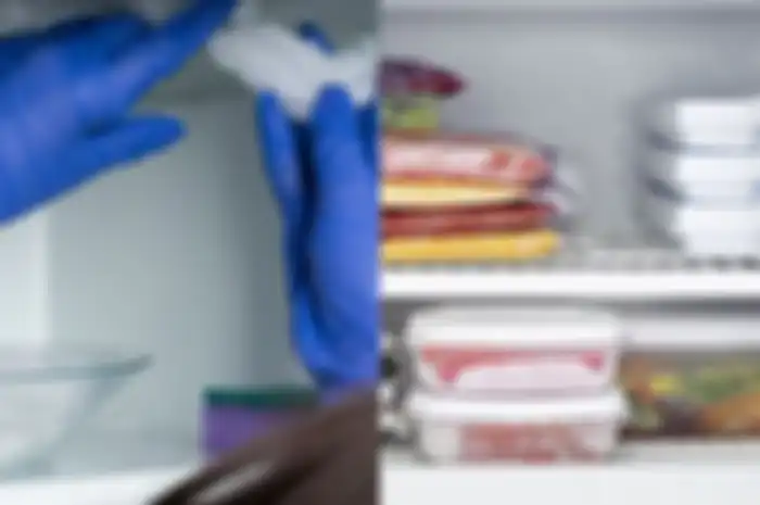 bunga es di freezer