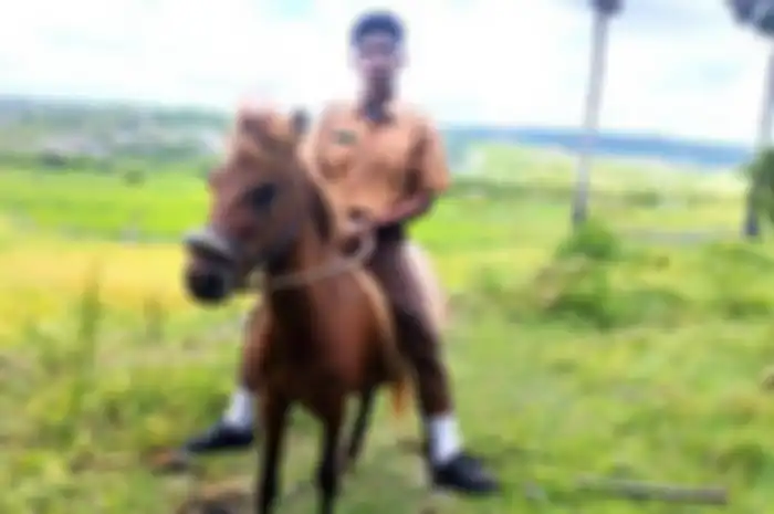 Motor Mogok, Pelajar SMA Ini Berangkat ke Sekolah Tunggangi Kuda Balap!