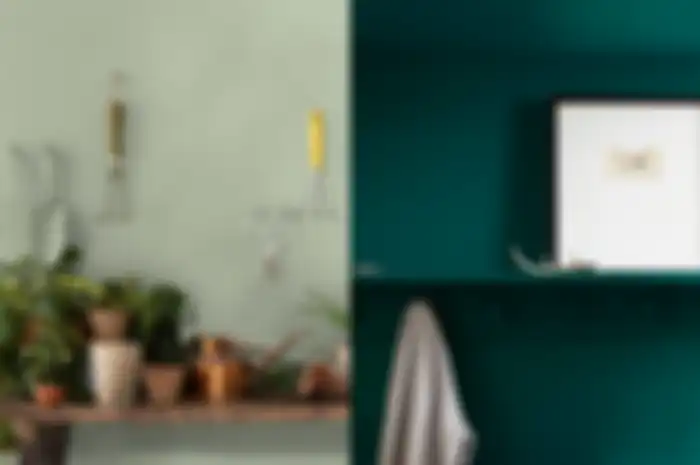 Manakah Warna Hijau yang Cocok untuk Anda? Apa Warna Hijau Sage?