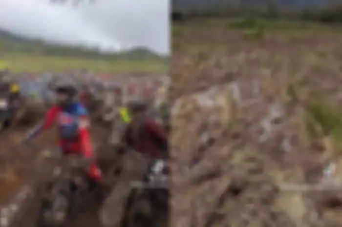 Netizen geram dengan kerusakan bunga Edelweis Rawa akibat event motor trail Ranca Upas Ciwidey, Kabupaten Bandung, Jawa Barat, Minggu (5/3/2023).