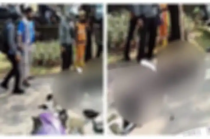 C (20), inisial pemotor Honda Scoopy yang diduga pemudik menabrak pohon di Cengkareng berujung meninggal dunia.