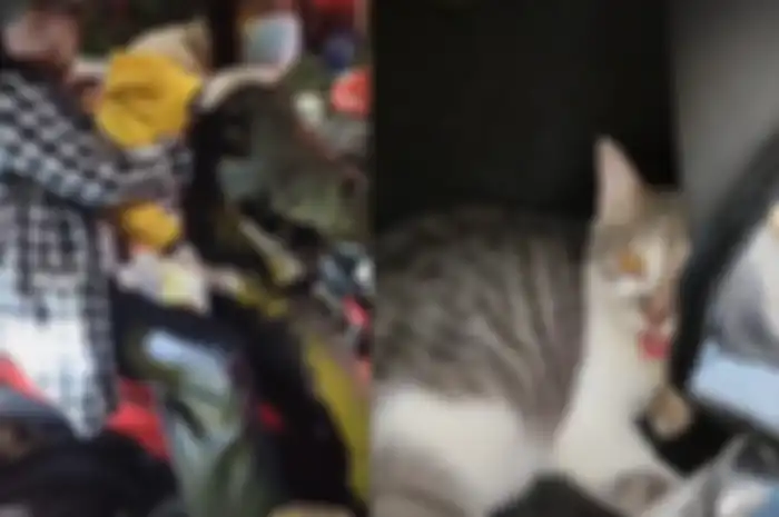 Video kucing diajak mudik lebaran naik motor beredar di media sosial.