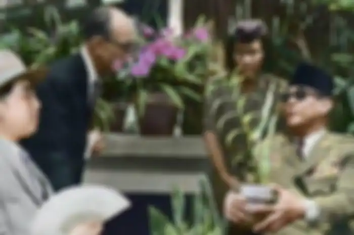Bunga anggrek kimilsungia menjadi simbol persahabatan Indonesia dan Korea Utara. Bunga itu diberikan Bung Karno kepada Kim Il-sung pada 1965 (public domain via NGI)