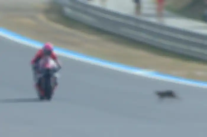 Kucing masuk ke sirkuit Jerez saat MotoGP Spanyol 2023