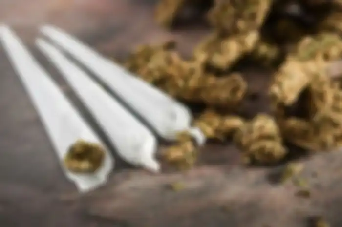Ilustrasi ganja, di Blora seorang anak meminta ibunya mengambil paket berisi ganja