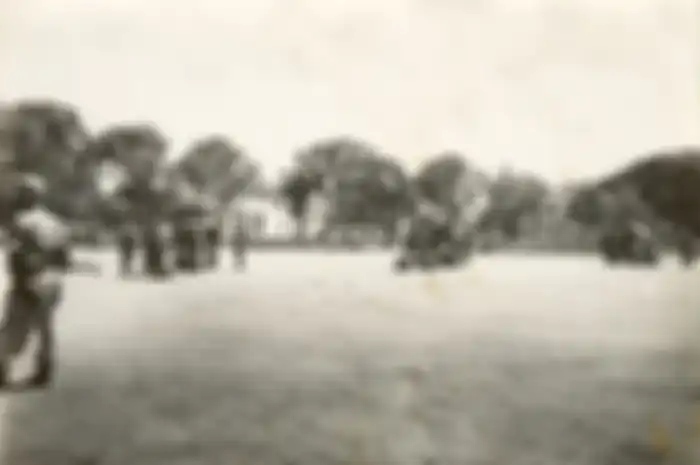 Pada 17 Oktober 1952, sejumlah perwira TNI dan ribuan massa melakukan demonstrasi, mereka mengarahkan tank dan meriam ke Istana. Bung Karno menyebutnya sebagai makar. Sosok AH Nasution dipecat dari posisinya.