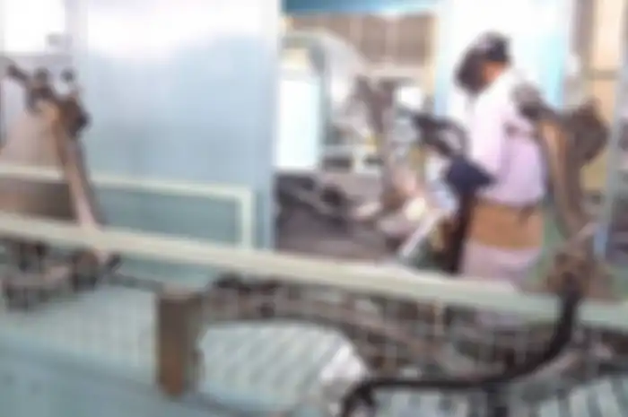 Rangka eSAF motor matic Honda bermasalah dan YLKI meminta AHM untuk melakukan recal.