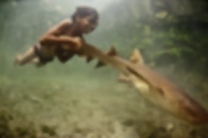 Ilustrasi Suku Bajau.