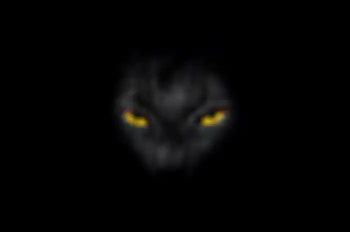 Khodam Kucing Hitam dan kekuatannya yang misterius