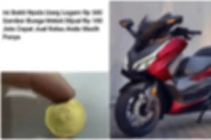 Buruan dilihat apakah Anda punya uang koin Rp 500 gambar bunga melati laku ratusan juta rupiah, bisa beli motor matic sultan Honda Forza 250.