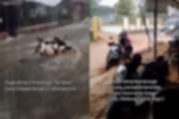 Hujan deras di Bogor sebabkan motor hanyut terbawa arus banjir bandang. Ada Honda BeAT hingga Scoopy.