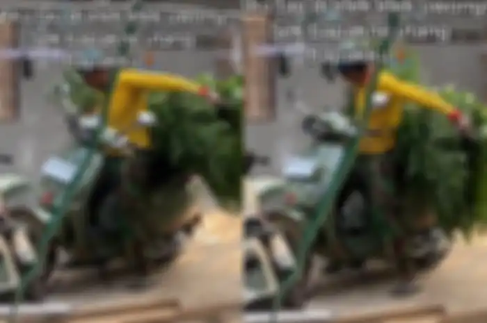 Dipakai angkut rumput setelah ngarit, motor Vespa Rp 56 jutaan ini bikin salah fokus.