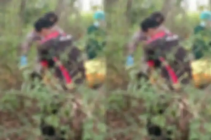 Jenazah Mohammad Hifni, bocah SMK yang dibunuh teman sekolah sedang dievakuasi.