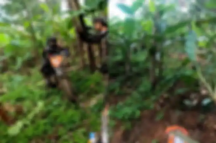 Momen kebun pisang dilewati motor trail di Bandung.
