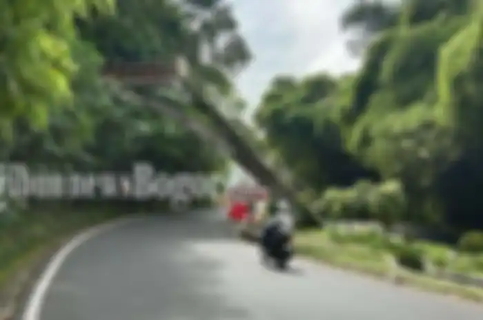 Tikungan angker dekat Villa Soekarno Jalan Raya Puncak Bogor, Selasa (16/1/2024). 