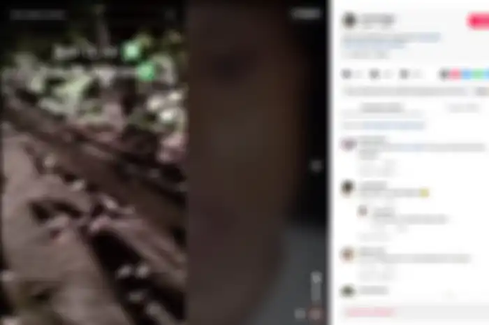 ikan betik berhamburan di jalan