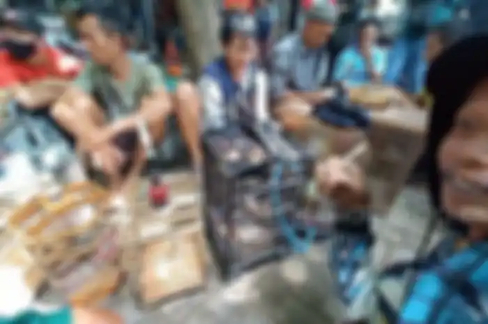 Ilustrasi weton penjual burung kicau