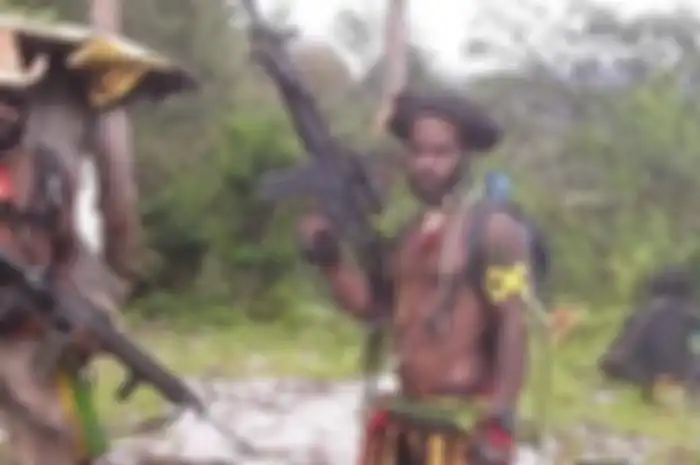 Anggota KKB Abubakar Kogoya dan Demianus Magai tewas ditembak aparat gabungan TNI-Polri