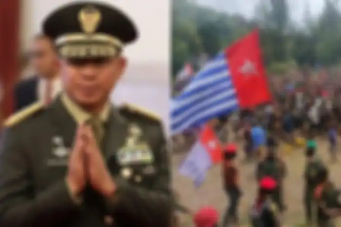 Panglima TNI sebut KKB Papua sebagai OPM