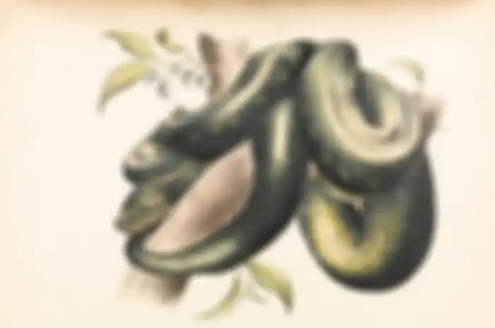 Ilustrasi jin khodam ular