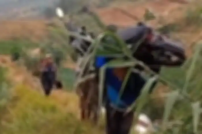 Ngeri Honda BeAT Dipanggul Satu Orang Usai Terjun Bebas di Daerah Dieng  