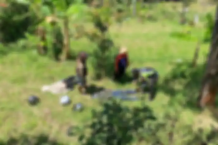Rem blong yang dialami oleh Honda Vario yang dikendarai pasangan muda-mudi membuat keduanya terjun ke area sawah.