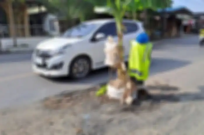 Jalan Nasional Berlubang dan Berbahaya Buat Motor Cuma Ditutup Pohon Pisang Kok Tidak Langsung Diperbaiki?