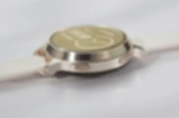 Garmin watch Lily 2