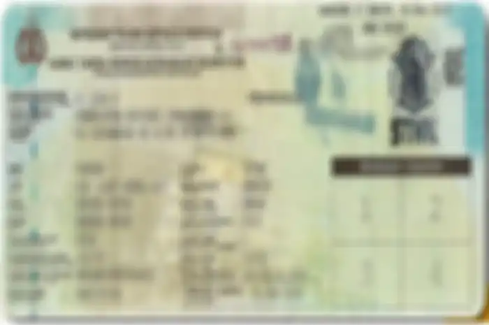Surat Tanda Nomor Kendaraan sebagai syarat ikut pemutihan pajak motor.