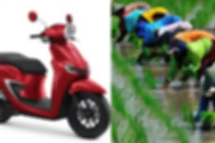 Menteri Pertanian (Mentan) tawarkan Gen Z jadi petani milenial dengan pendapatan per bulan setara harga Honda Stylo.