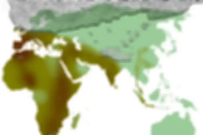 Movius Line (Garis Movius) dicetuskan oleh Hallam L. Movius, Jr., adalah sebuah garis imajiner yang memisahkan budaya Paleolitik di Afrika, Eropa, dan India dengan Asia Tenggara dan Asia Timur (Locutus Borg/Wikipedia Commons)