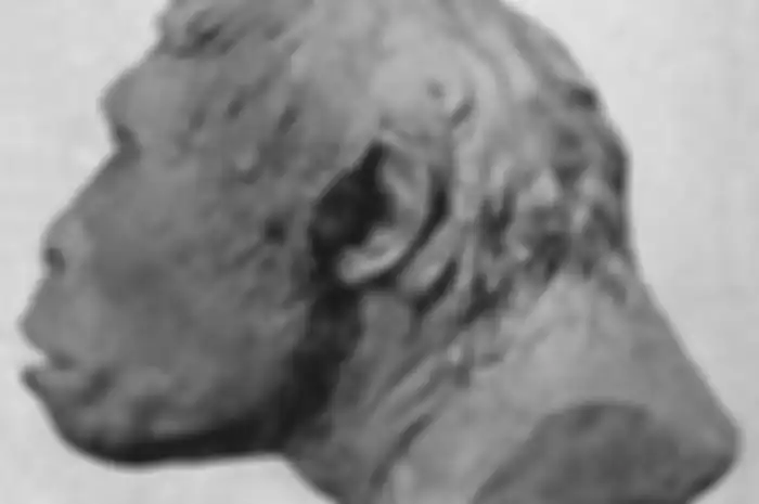 Nenek moyang kita Pithecanthropus erectus (Java Man/Manusia Jawa) yang hidup sekitar jutaan tahun yang lalu (J. H. McGregor - J. Arthur Thomson/Wikipedia Commons)