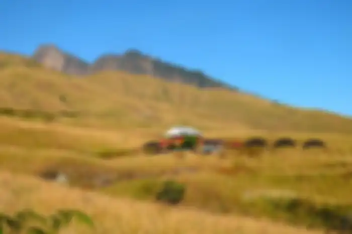 Jalur pendakian Gunung Rinjani via Sembalun. Gunung Rinjani punya pemandangan yang indah, tapi tersimpan bahaya di baliknya (Kompas.ID)