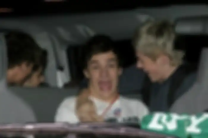Liam Payne: Funny Face