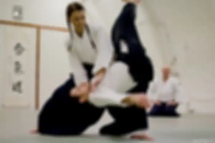 Mau Coba Aikido?